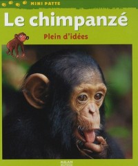 Le chimpanzé : Plein d'idées