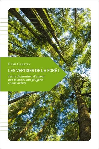 Les Vertiges de la forêt, Petite déclaration d’amour aux mousses, aux fougères et aux arbres