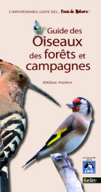 Guide des oiseaux des forets et campagnes