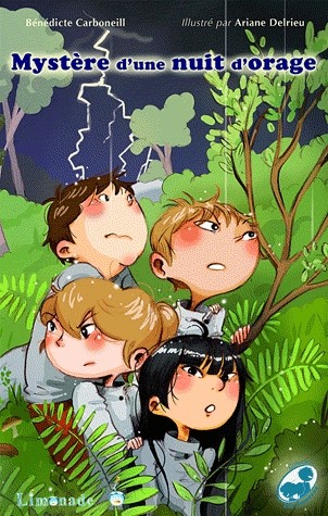 Mystère un soir d'orage