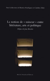 La notion de mineur entre littérature, arts et politique