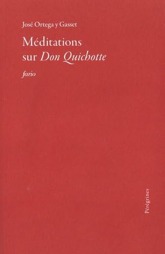 Méditations sur le Quichotte