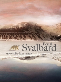 Svalbard une étoile dans la nuit