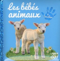 Bébé touche à tout - Les bébés animaux