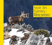 Faune des Pyrénées : Rencontres