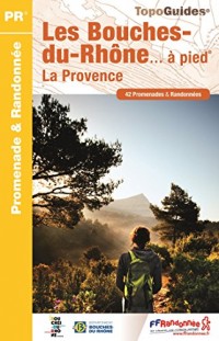 Les Bouches-du-Rhône à pied : 42 promenades & randonnées