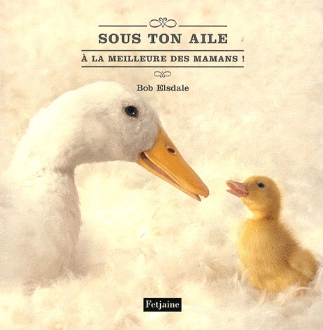 Sous ton aile : A la meilleure des mamans !
