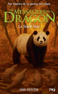 Les messagers du dragon - tome 04 : Le Soleil Noir