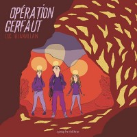 Opération Gerfaut