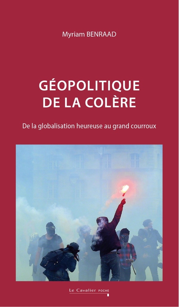 Géopolitique de la colère: De la globalisation heureuse au grand courroux