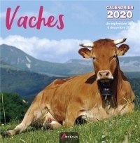Calendrier Vaches (2020)