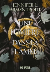 La Chair et le Feu (broché) - Tome 02 Une Lumière dans la flamme