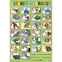 Posters recto verso : Alphabet des animaux