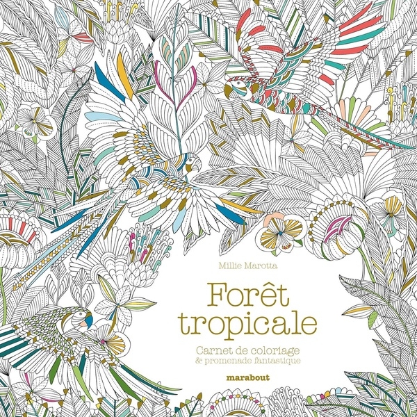 Forêt tropicale