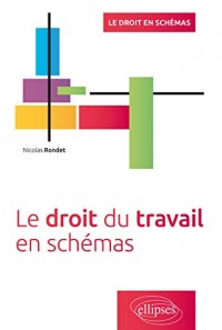 Le Droit du Travail en Schémas