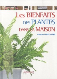 Les bienfaits des plantes dans la maison