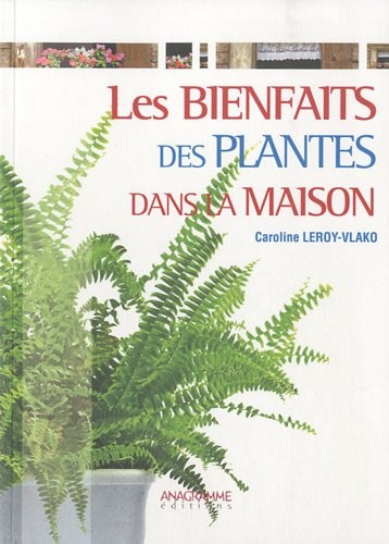 Les bienfaits des plantes dans la maison