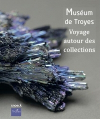 Musée de Troyes : Voyage autour des collections