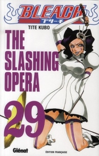 Bleach Vol.29