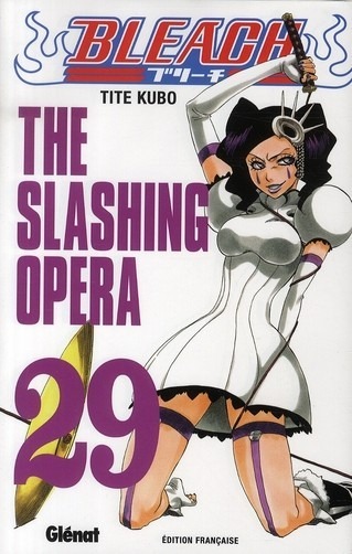 Bleach Vol.29