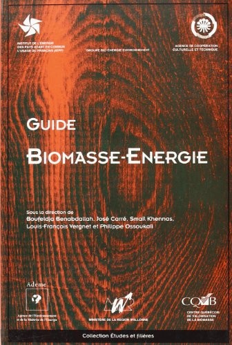 guide biomasse energie