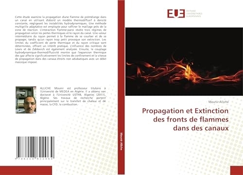 Propagation et Extinction des fronts de flammes dans des canaux