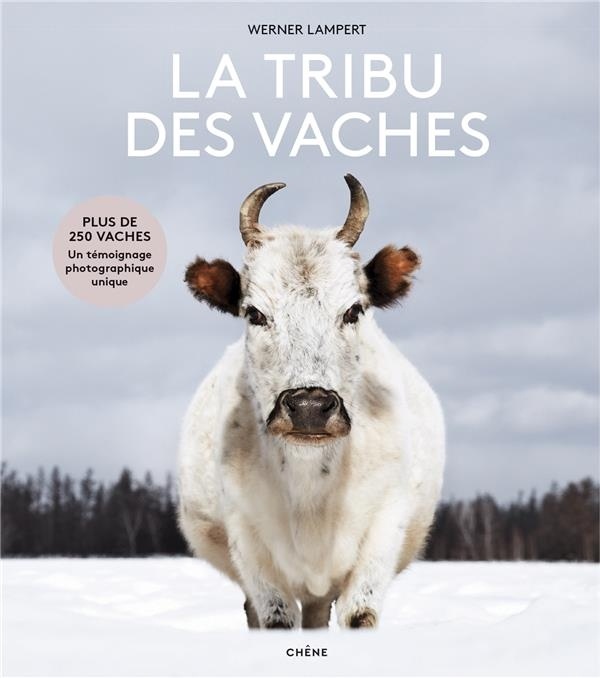 La tribu des vaches: Des aurochs aux vaches sacrées