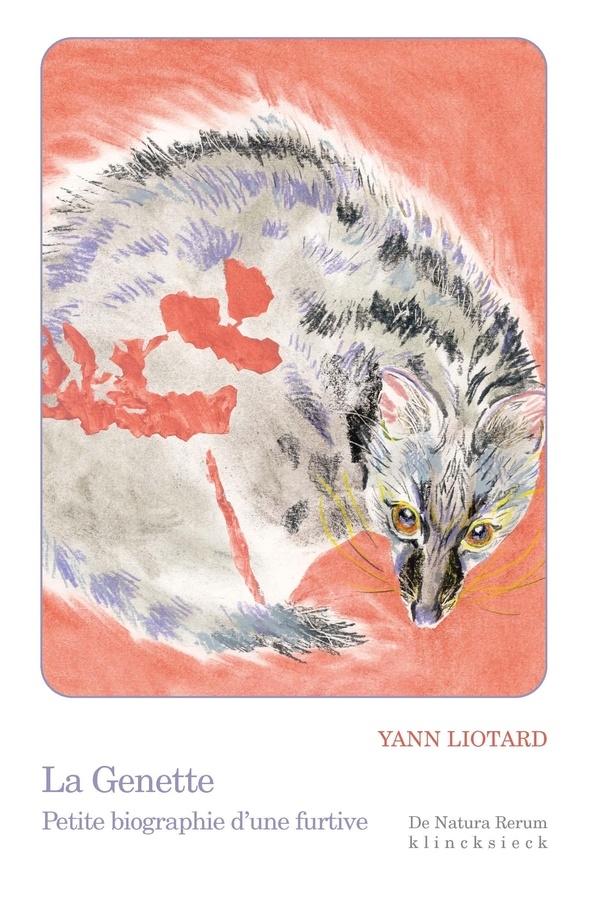 La Genette: Petite biographie d'une furtive