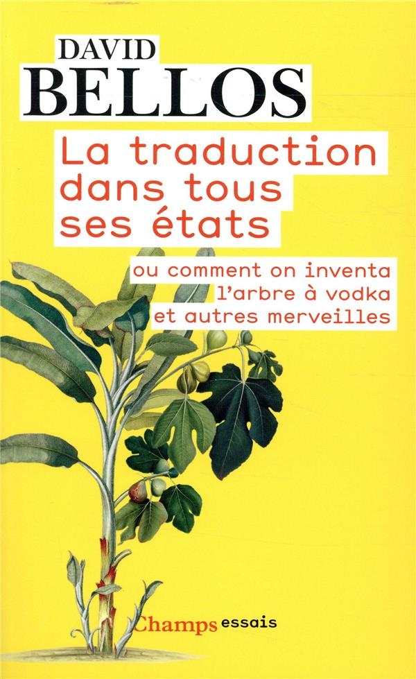 La traduction dans tous ses états