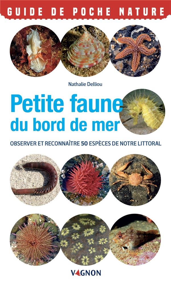 Petite faune du bord de mer