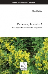 Patience, le sistre !: Une approche minimaliste, oulipienne