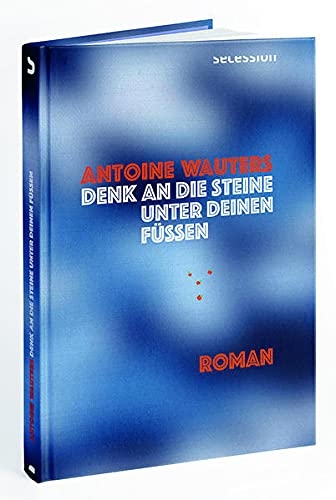 Denk an die Steine unter Deinen Füssen: Roman [9783907336021]