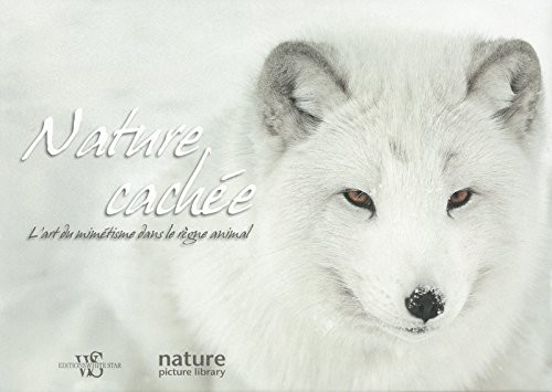 Nature cachée - L'art du mimétisme dans le règne animal