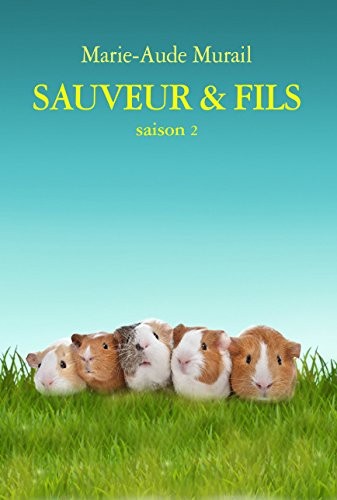 Sauveur et Fils Saison 2 Grand Format