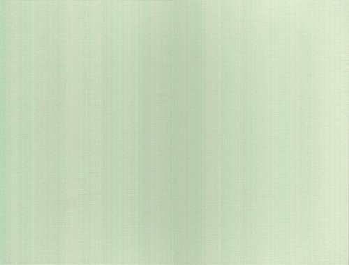 Louedin : Paris aux détours du regard