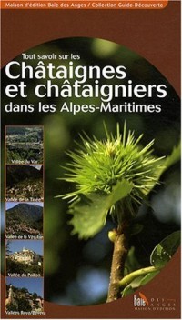 Tout Savoir Sur les Chataignes et Chataigniers Dans les Alpes-Maritimes