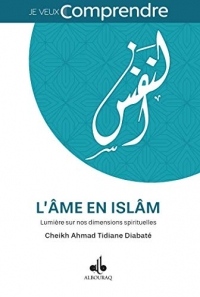 Ame en Islam, (l') : Lumiere Sur Nos Dimensions Spirituelles