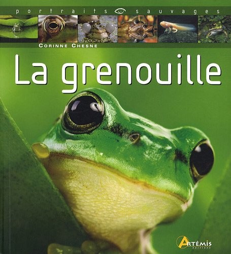 GRENOUILLE