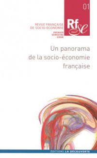 Revue française de socio-économie, N°1 ; Premier semestre : Un panorama de la socio-économie française