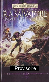 La promesse du Roi Sorcier