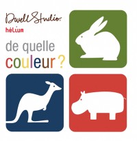 De quelle couleur ? : Un livre à déplier