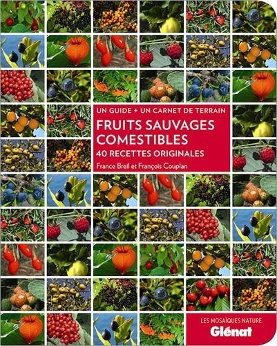 Fruits sauvages comestibles: 40 recettes originales