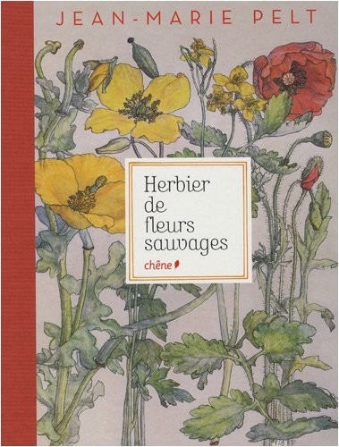 Herbier de fleurs sauvages