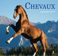 Chevaux - Calendrier 2019