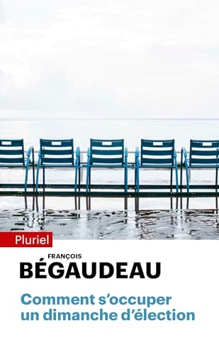 Comment s'occuper un dimanche d'élection (Pluriel)