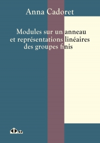 Classification des modules sur les anneaux et représentations linéaires des groupes finis