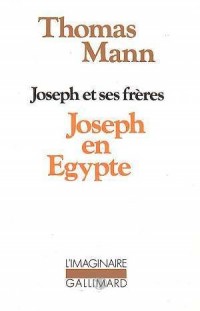 Joseph et ses frères, tome 3 : Joseph en Egypte