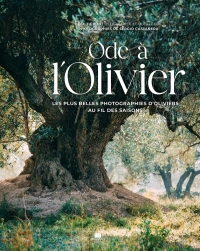 Ode à l'olivier