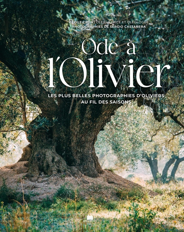 Ode à l'olivier