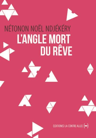 L'Angle mort du rêve